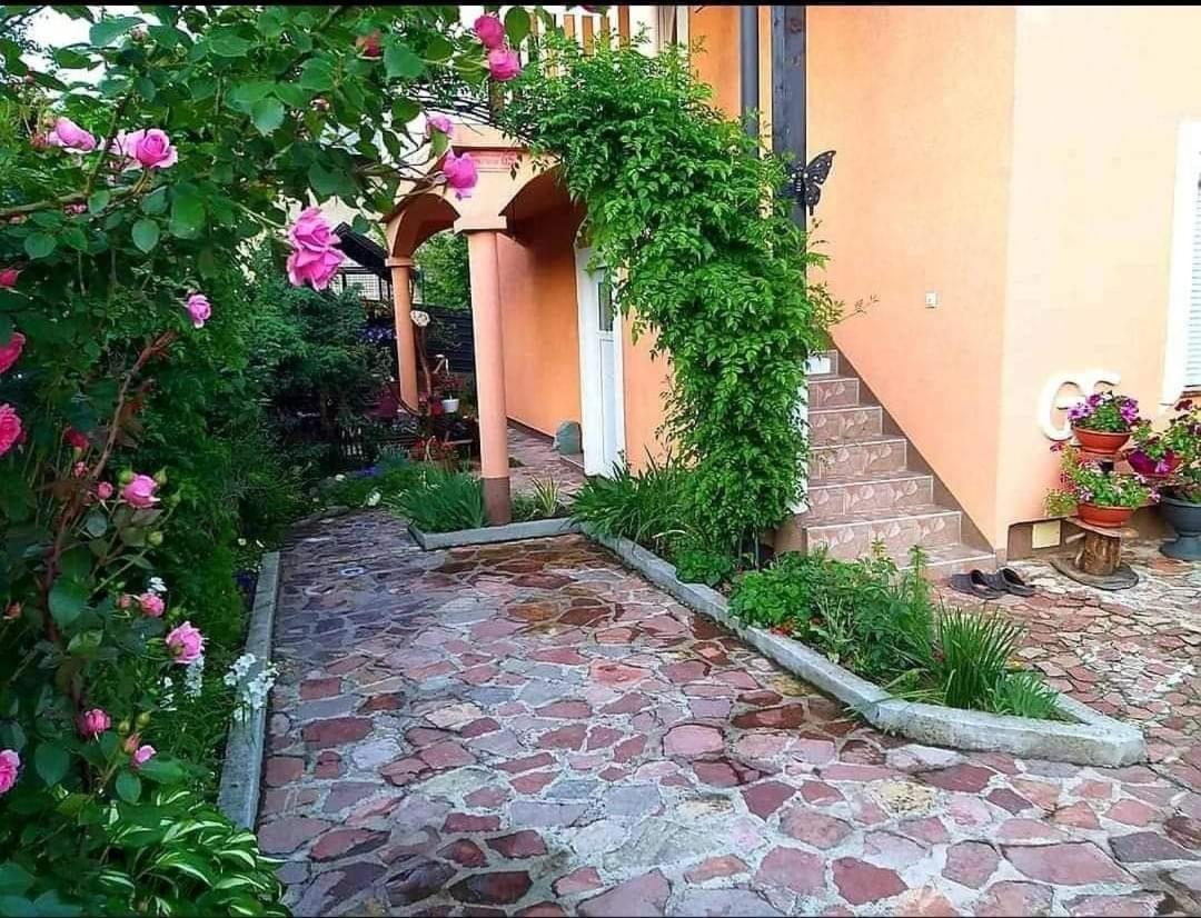 Apartmani Gs ***** Zavidovici 외부 사진